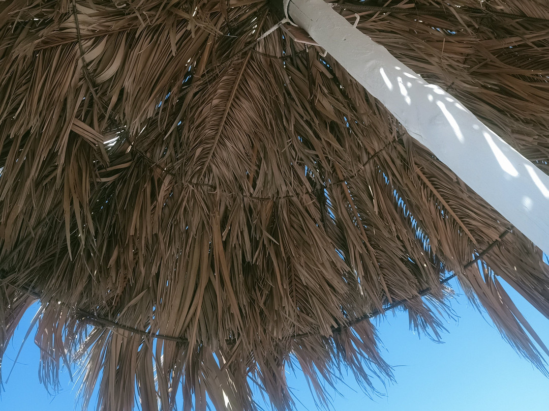 Lido Sun Beach景点图片