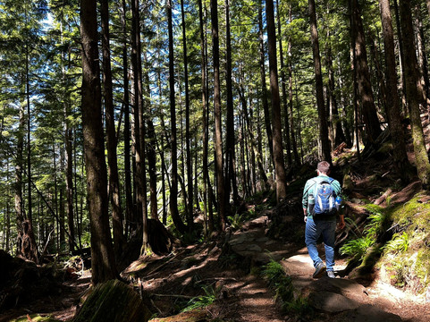 Ketchikan Rainbird Trail-凯奇坎必去景点