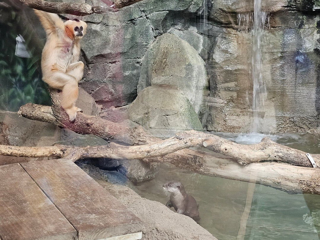 Kansas City Zoo & Aquarium-堪萨斯城必去景点