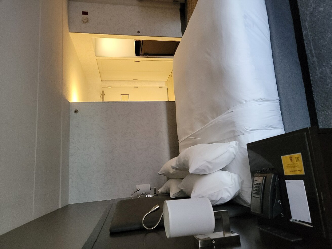 底特律诺维巴朗纳特万丽酒店主图