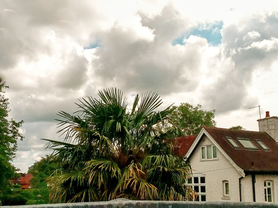 White Rabbit Hotel主图