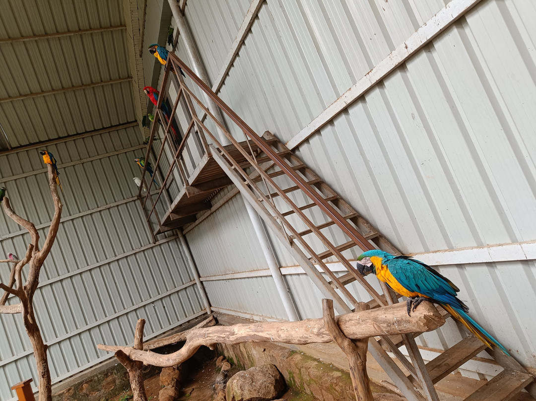 Peeku Park Yercaud-亚尔考德必去景点