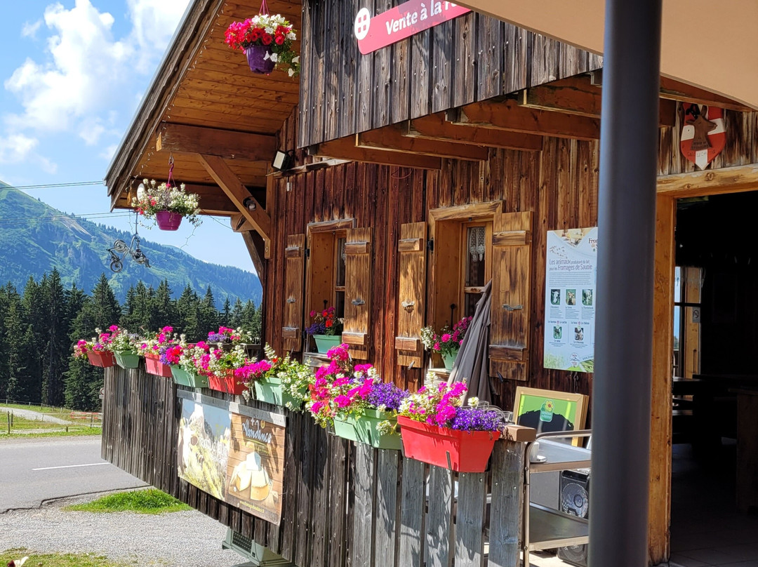 莫尔济讷旅游景点-La Ferme de Seraussaix