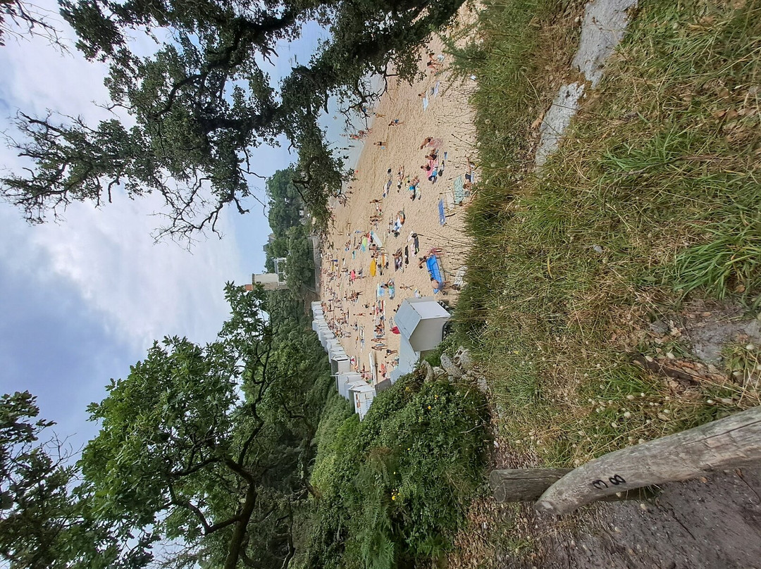 Plage des Dames景点图片