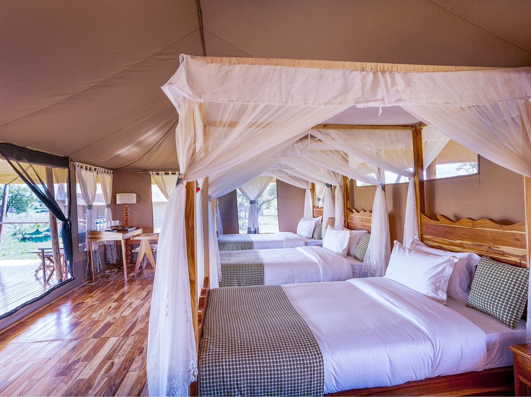 Malaika Seronera Luxury Camp主图