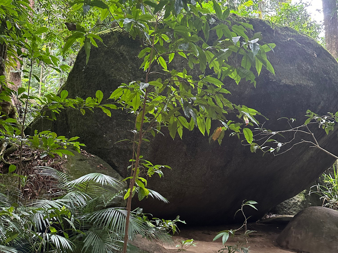 Mossman Gorge-道格拉斯港必去景点