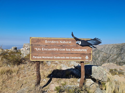 Parque Nacional Quebrada del Condorito-Villa Carlos Paz必去景点