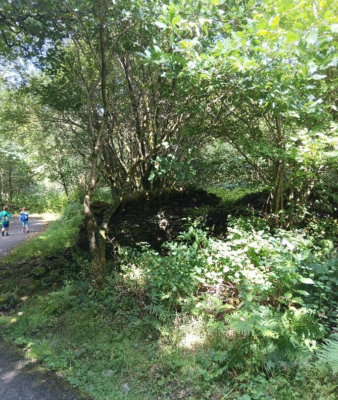 Afan Forest Park景点图片
