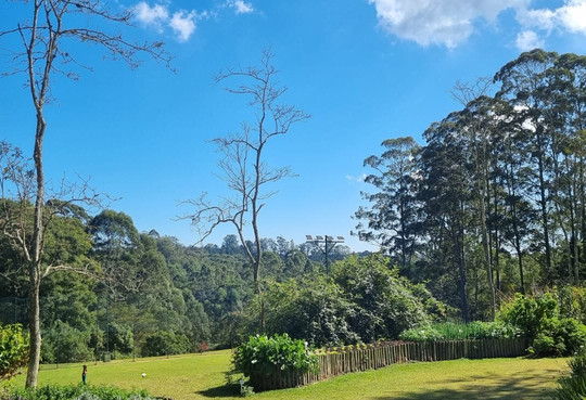 Hotel Villa Rossa主图