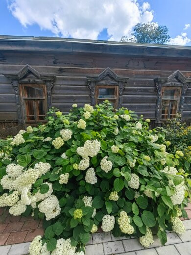 Literary Museum of Marina and Anastasia Tsvetaevykh-Aleksandrov必去景点