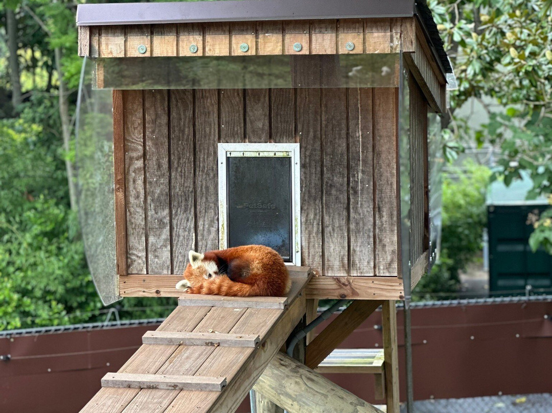 Virginia Zoo-诺福克必去景点