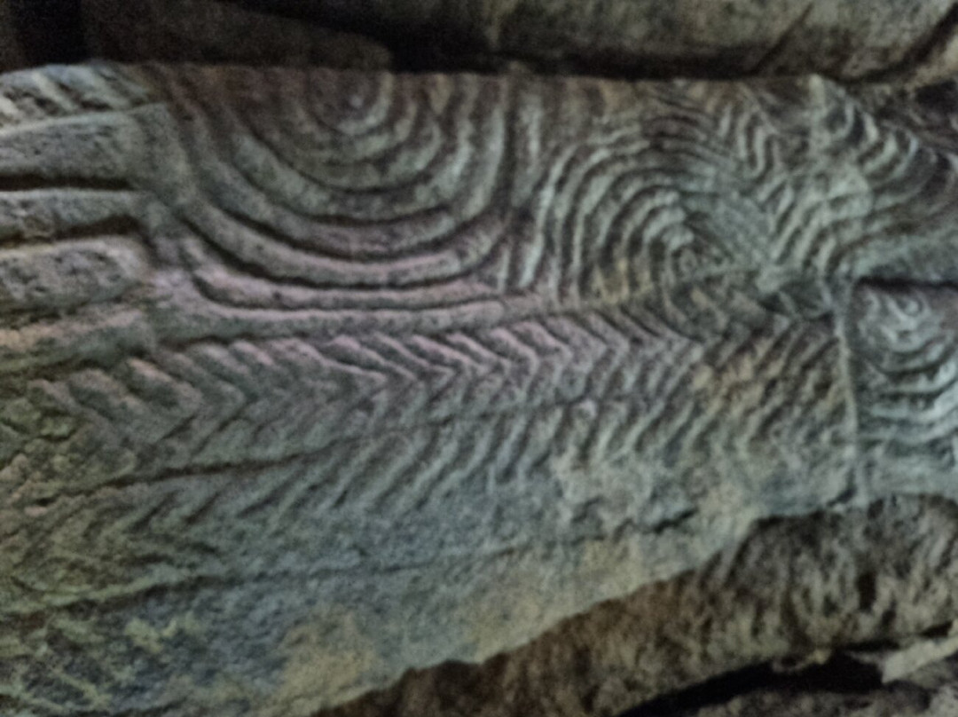 Cairn de Gavrinis景点图片
