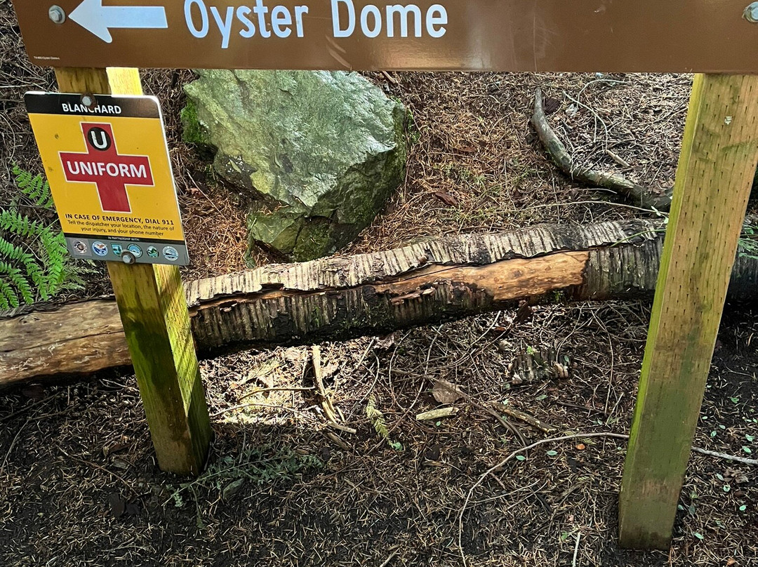 Oyster Dome Trail-Bow必去景点