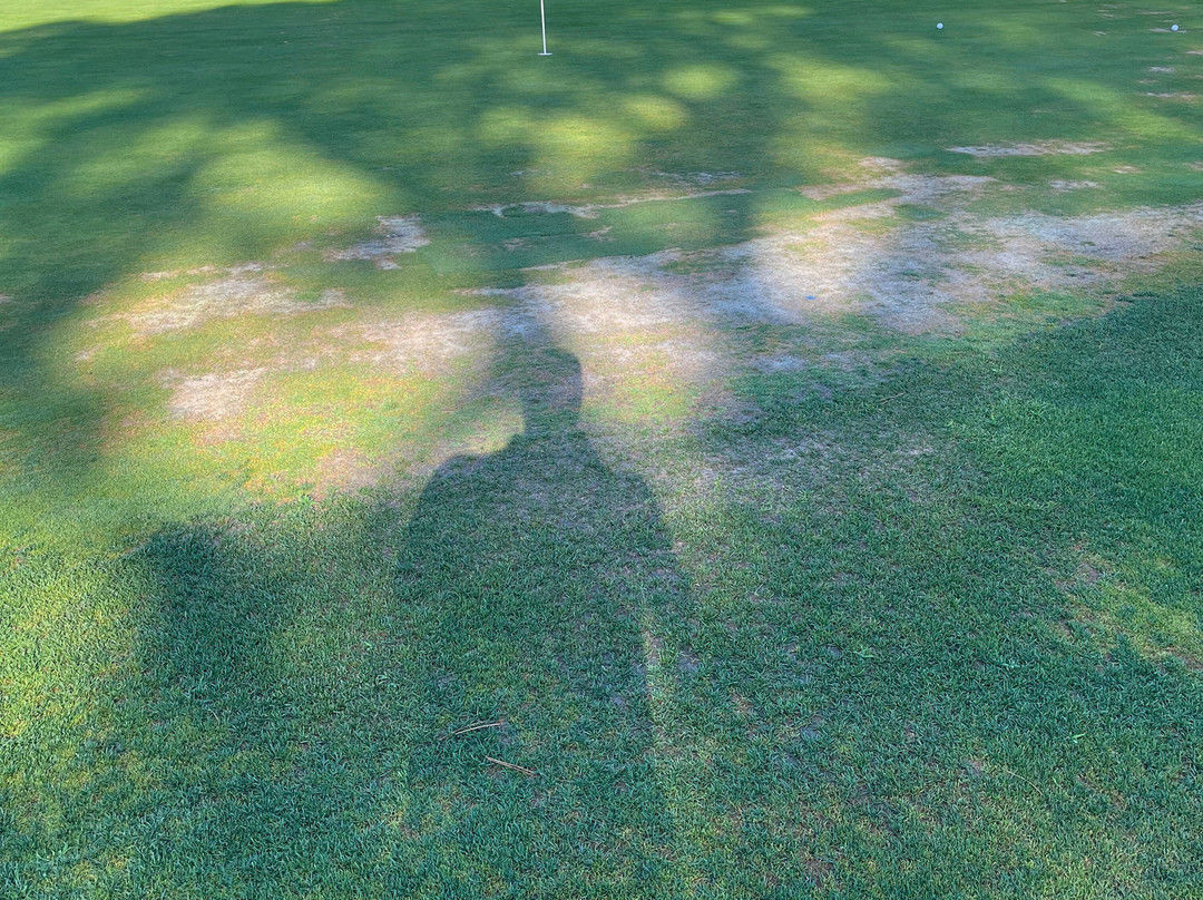 Old Course Vilamoura景点图片