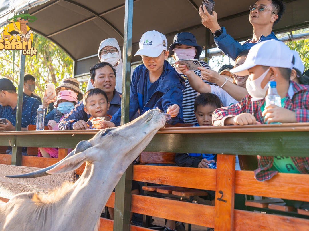 Safari Cafe-藩切市必去景点