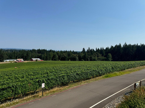 Hawks View Winery-Sherwood必去景点