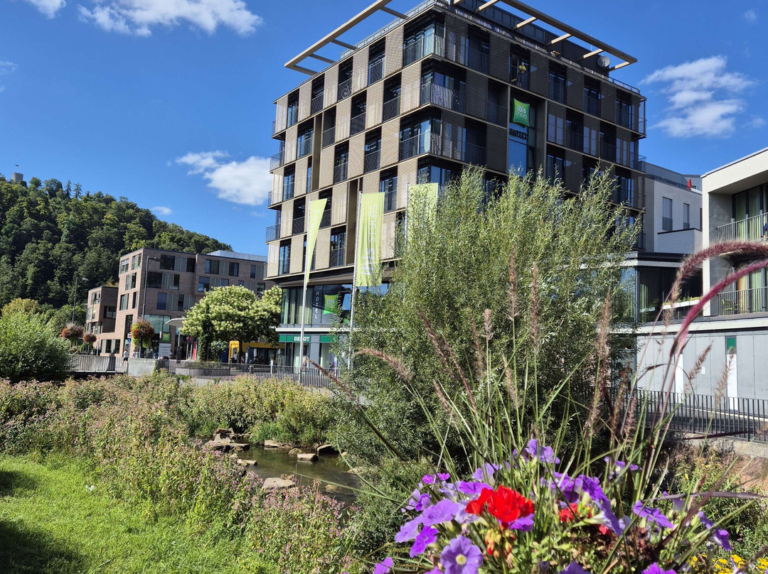 ibis Styles Nagold - Schwarzwald主图