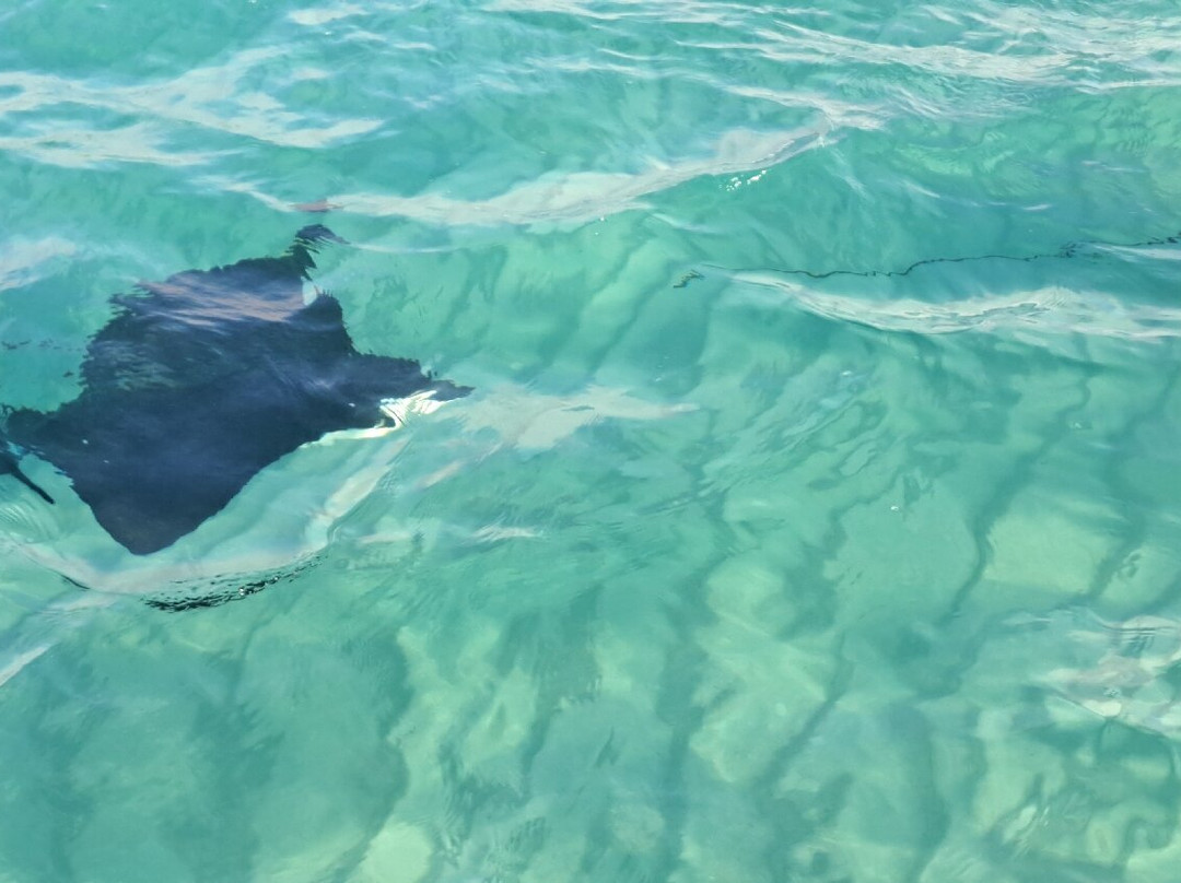 Hotel Coral Blanco主图