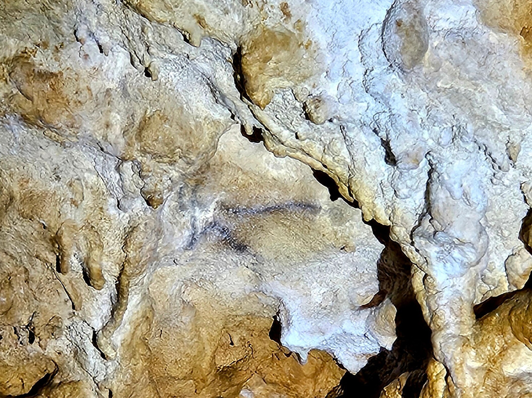 Grotte de Bernifal景点图片