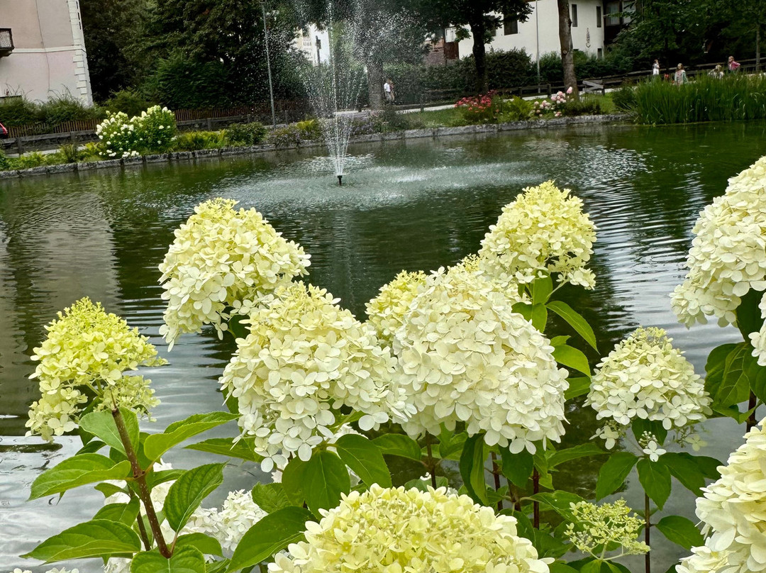 Parco Prenninger-蒙圭尔福-泰西多必去景点