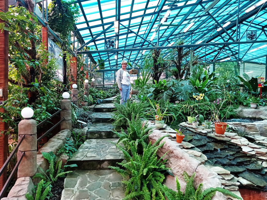 Orchids Museum景点图片