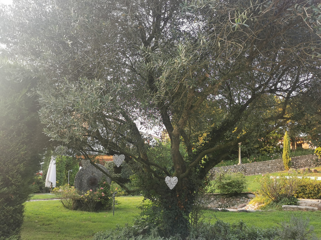 拉莫拉度假酒店主图