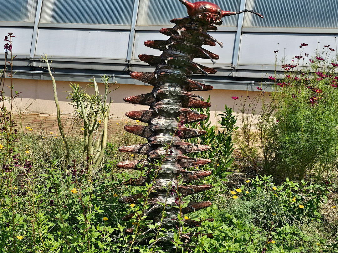 Botanicka Zahrada景点图片