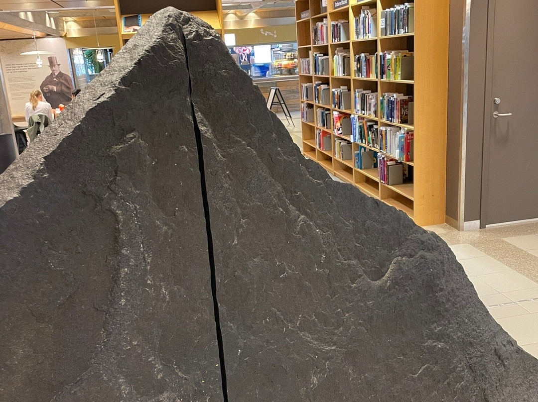 Solvberget Bibliotek Og Kulturhus景点图片