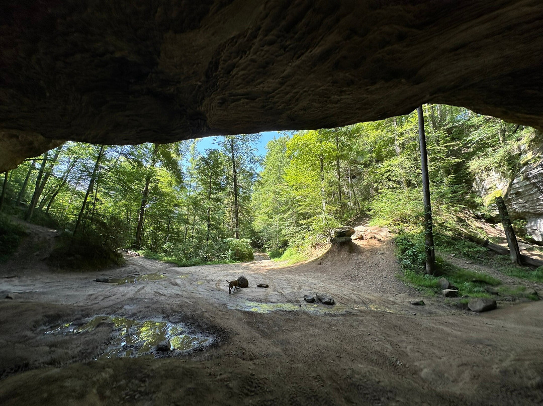 Rock Bottom Adventures Llc-Campton必去景点