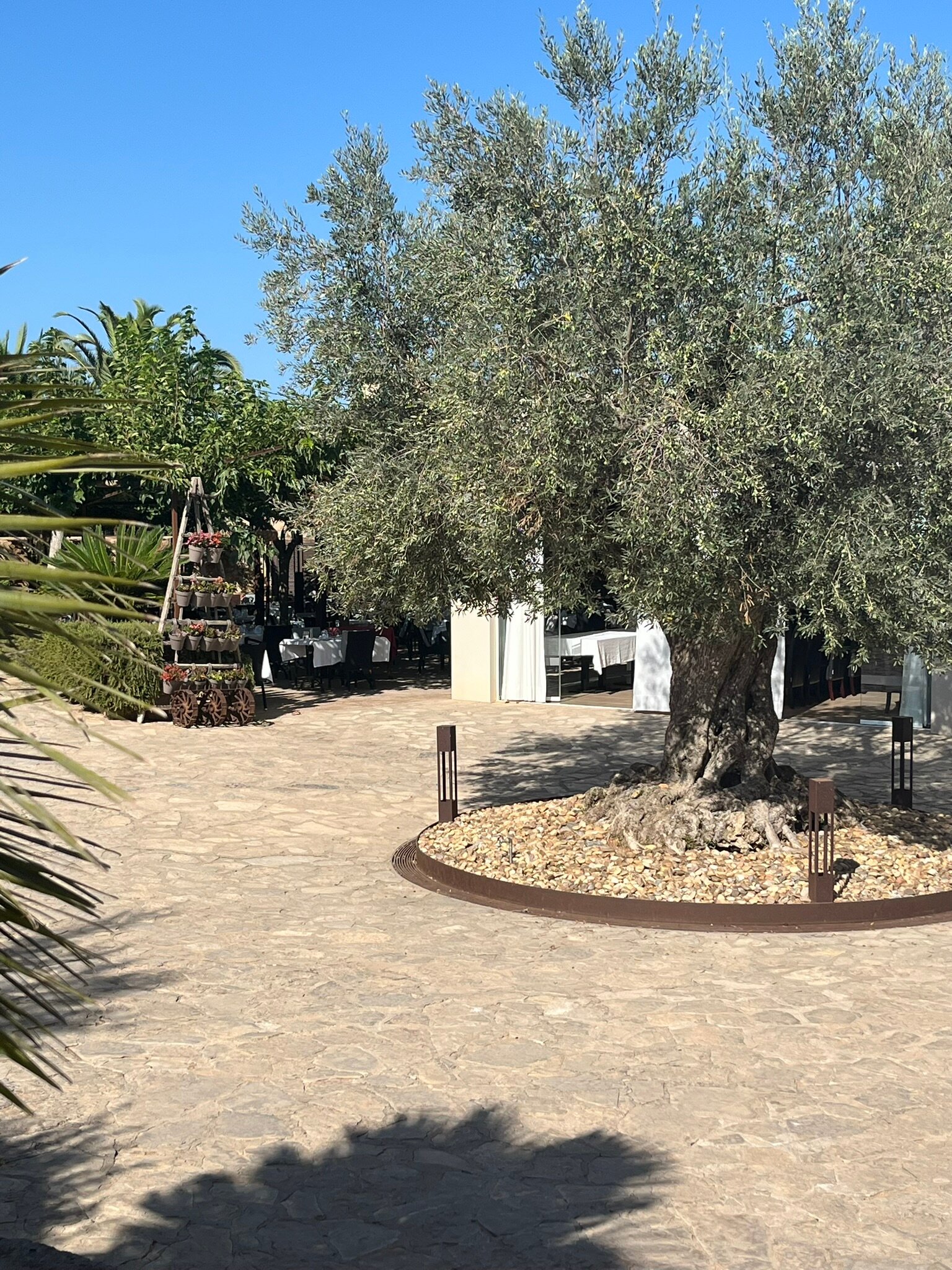 Son Trobat Wellness & Spa-浴室