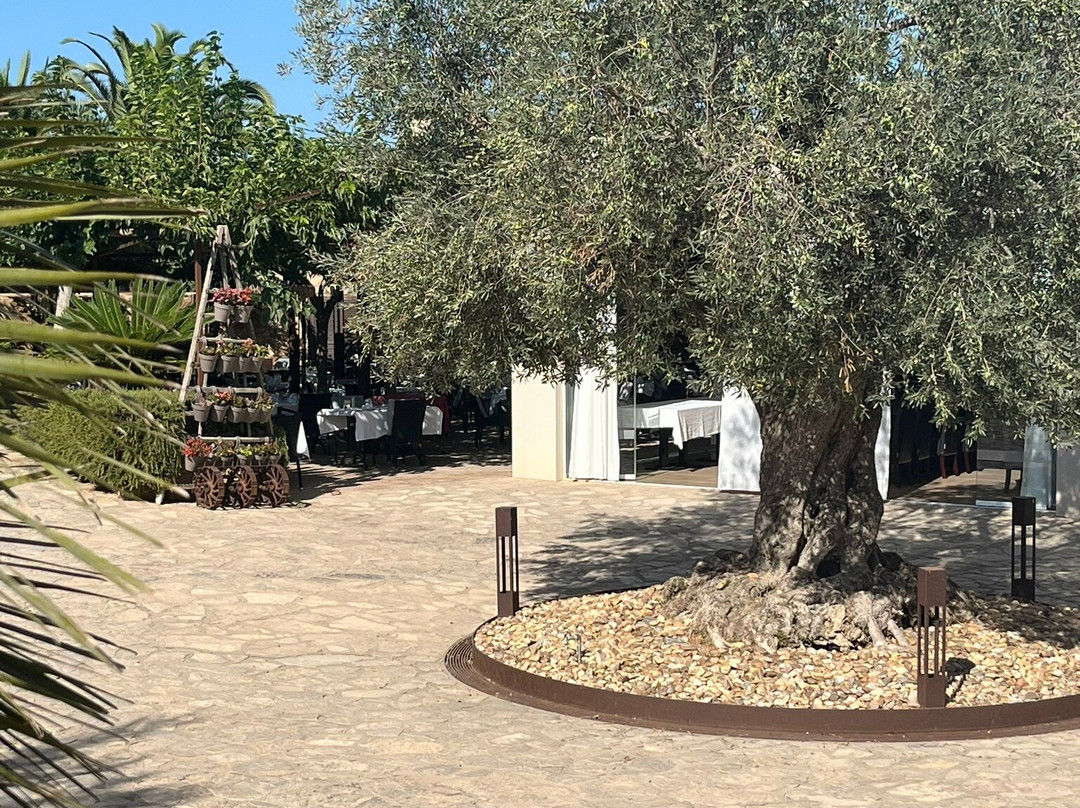 Son Trobat Wellness & Spa主图