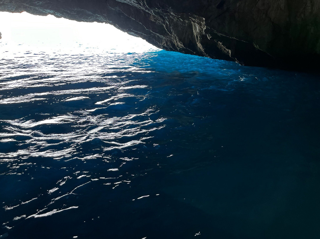 Montenegro Wild Boat景点图片