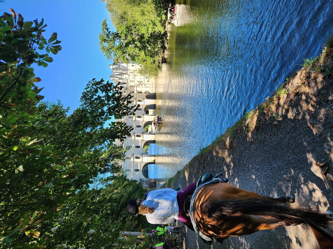 Loire Perspectives-布洛瓦必去景点