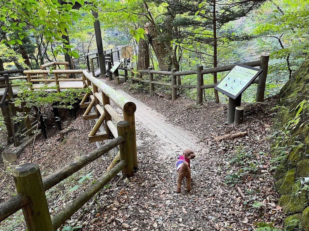 Shiobara Ravine Trail-那须盐原市必去景点