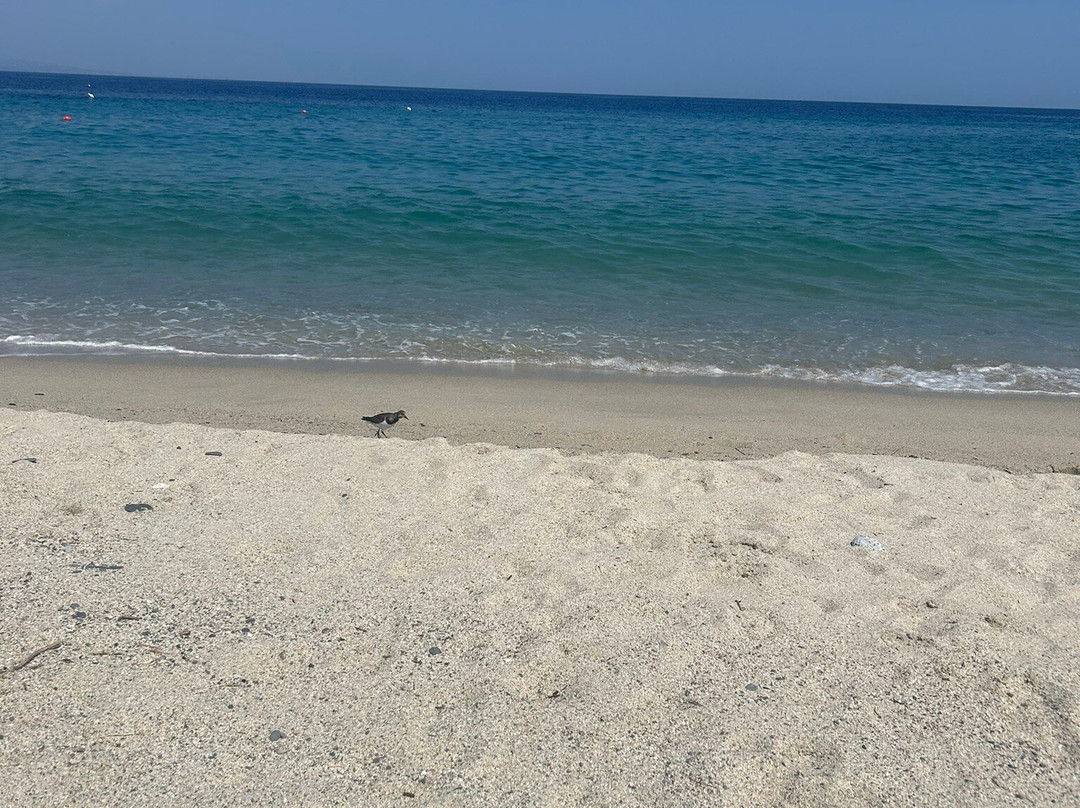 Spiaggia Baia Dell'ippocampo景点图片