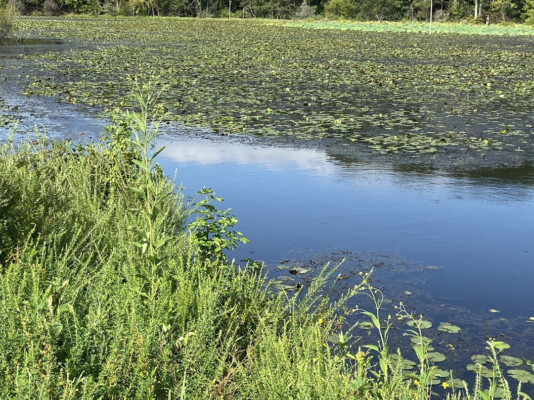 Indian Head Rail Trail-Indian Head必去景点