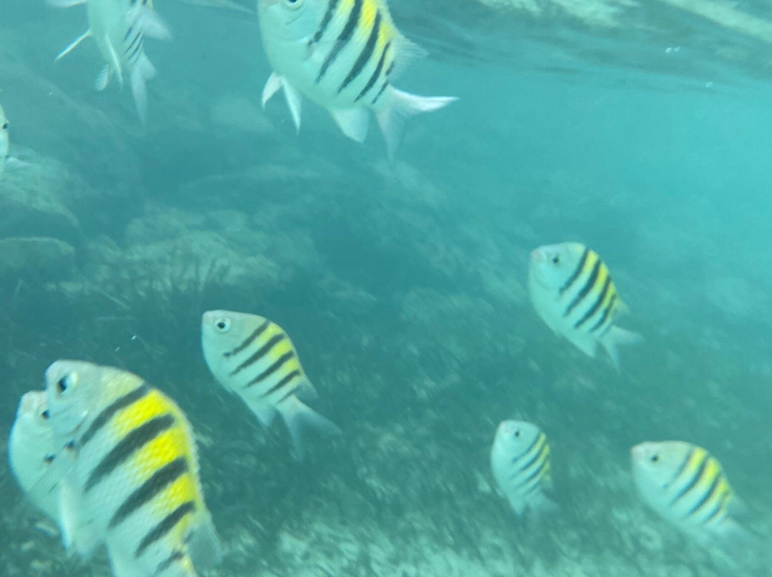 Rainbow Bay Beach-伊柳塞拉必去景点