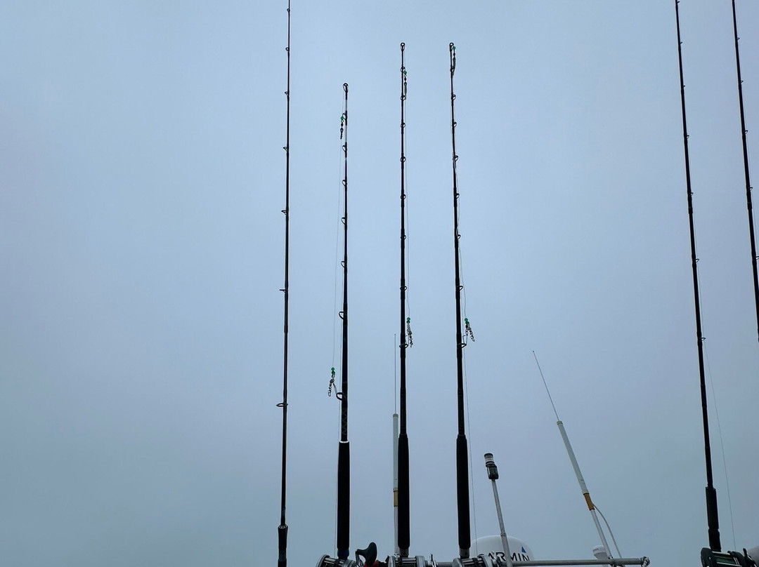 Alaska Charters and Adventures景点图片