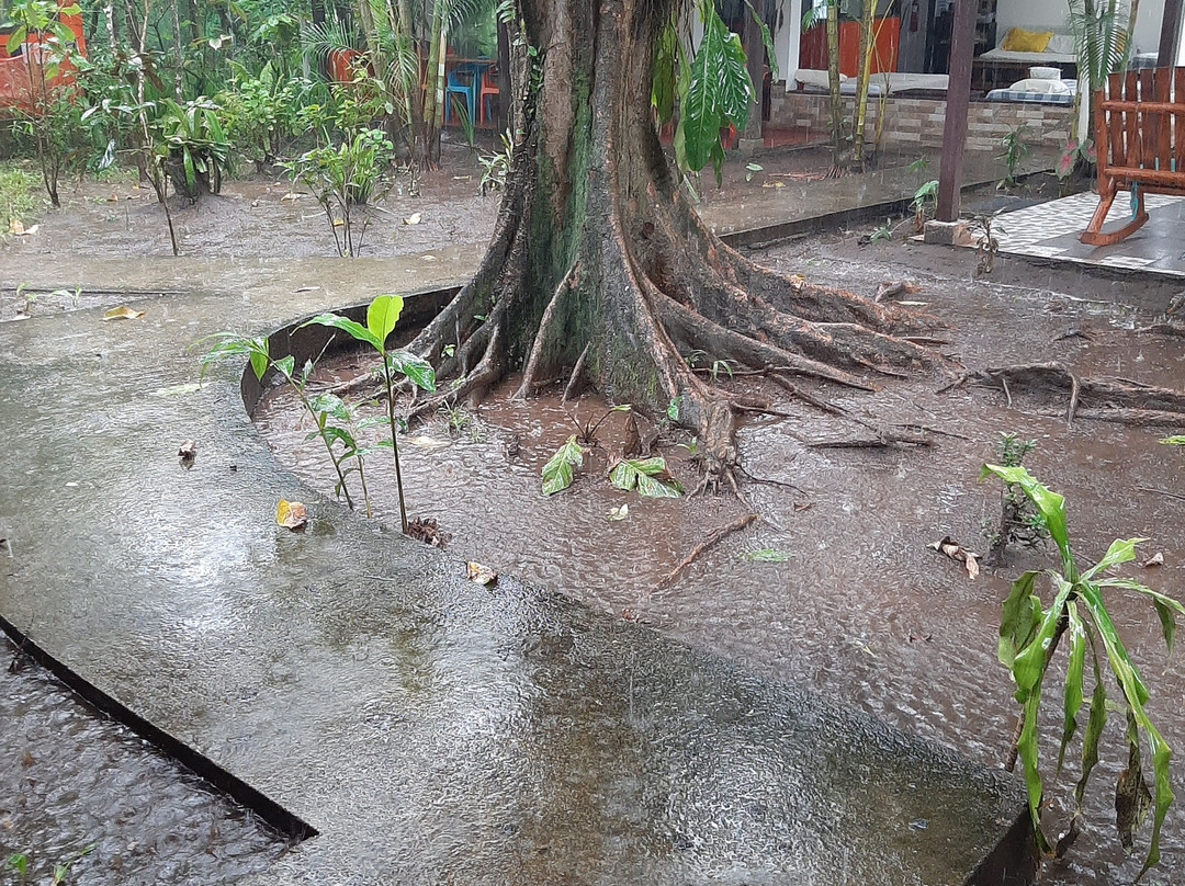 Aracari Garden Hostel主图