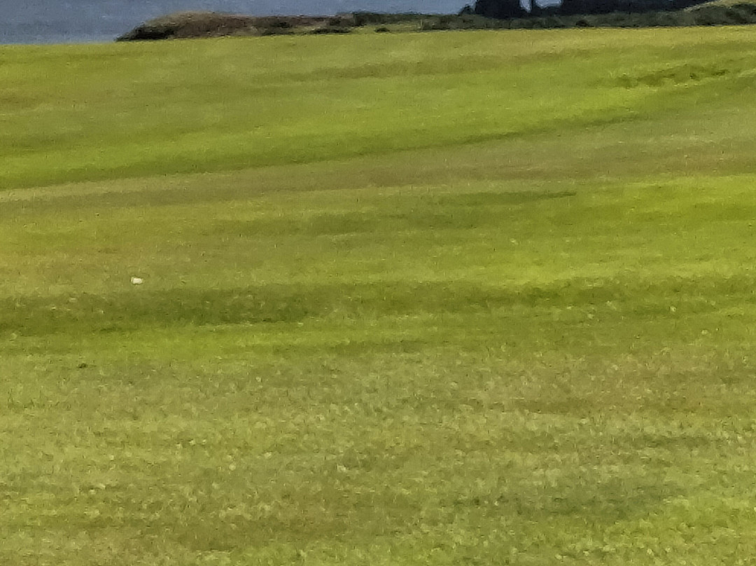 Royal Tarlair Golf Club-Macduff必去景点