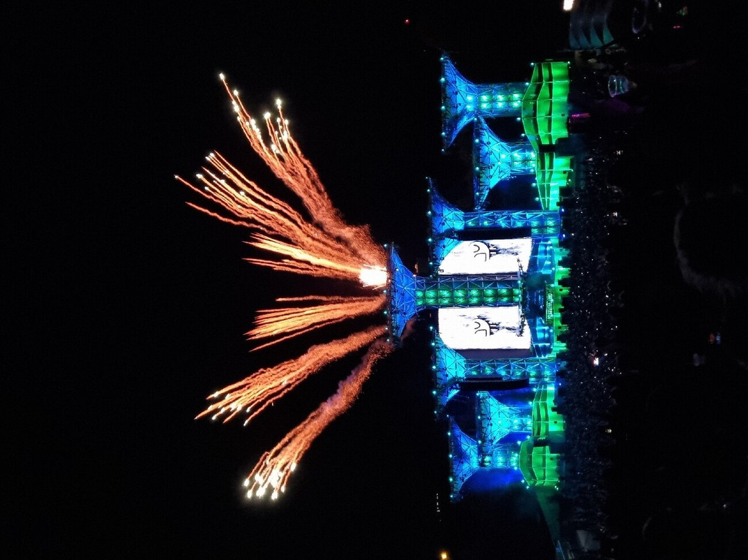 Mysteryland景点图片