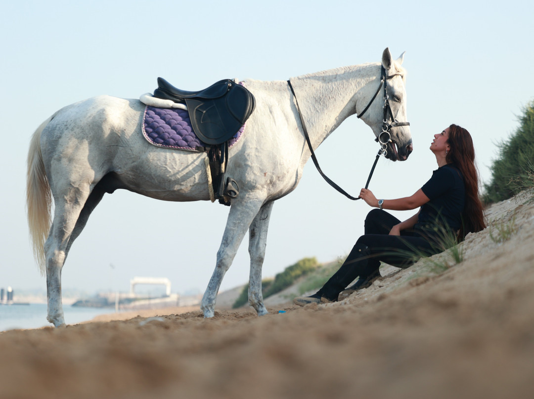 Sanam Stable-阿布扎比必去景点