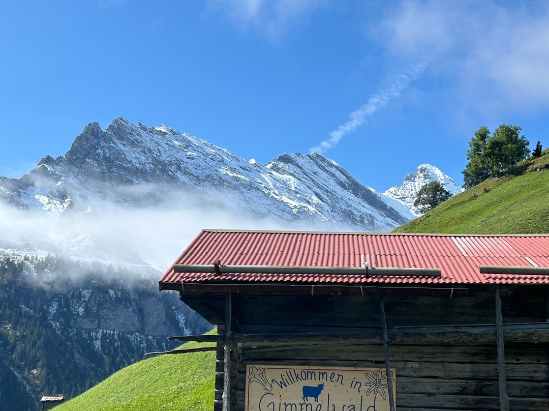Gimmelwald Hiking Trail景点图片