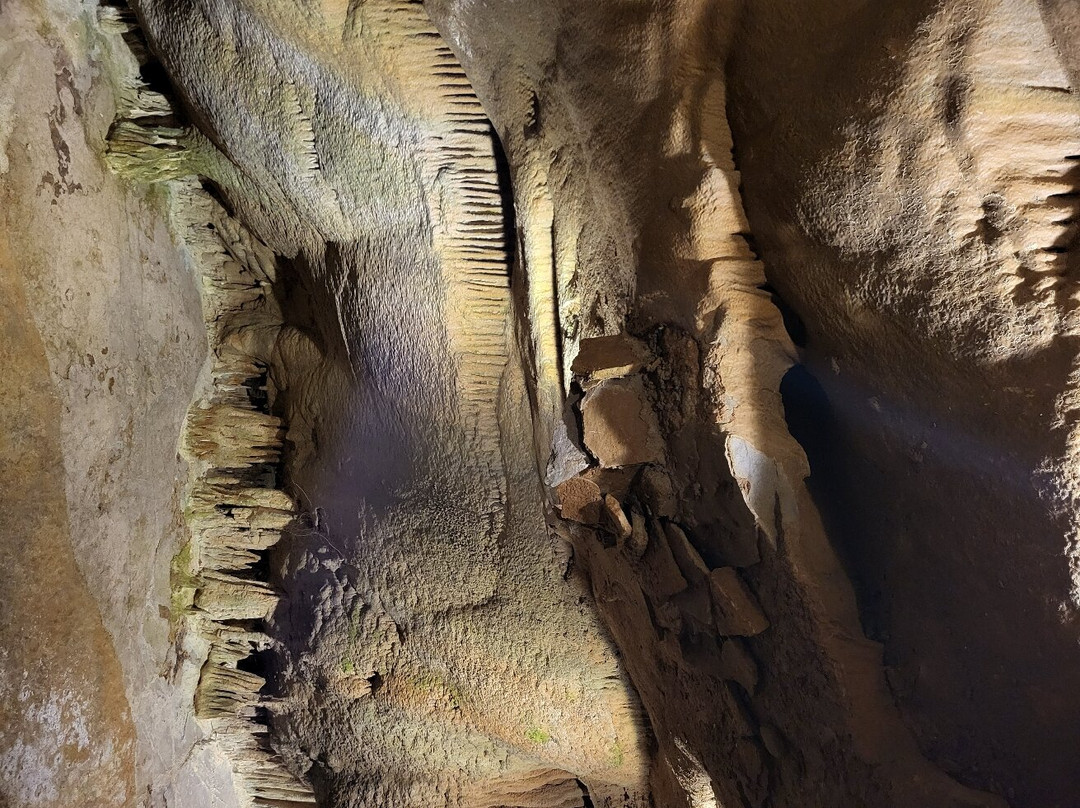 Forbidden Caverns-塞维尔维尔必去景点