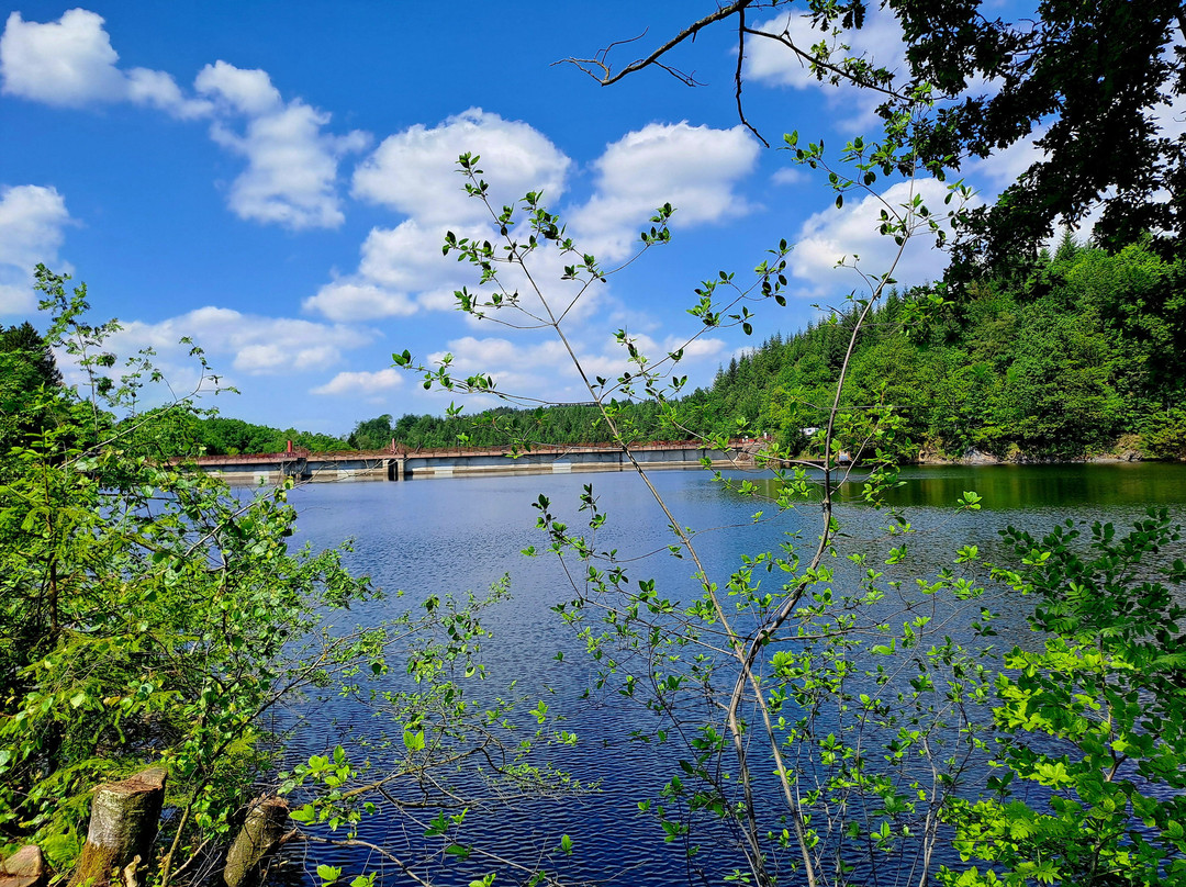 Lac de Robertville景点图片