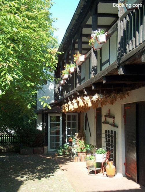 Hotel Garni & Oma's Heuhotell Pension Zur Galerie主图