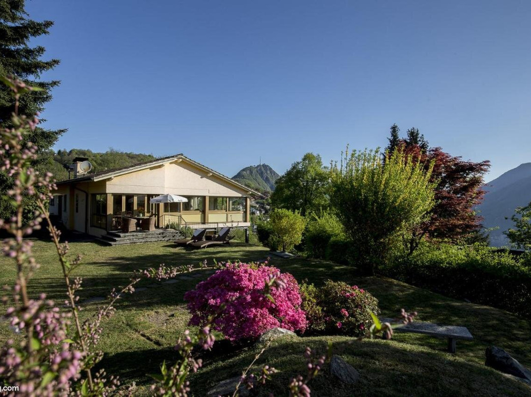 Hostel Guesthouse Calina主图