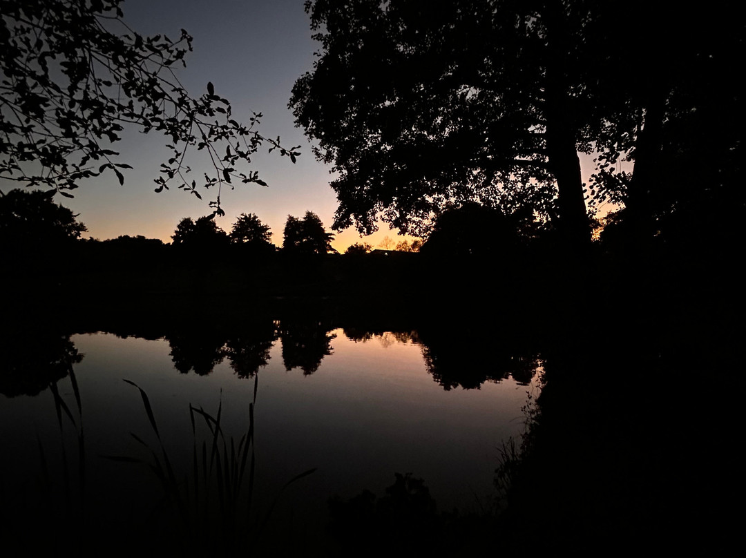 Alders Farm Fishery景点图片