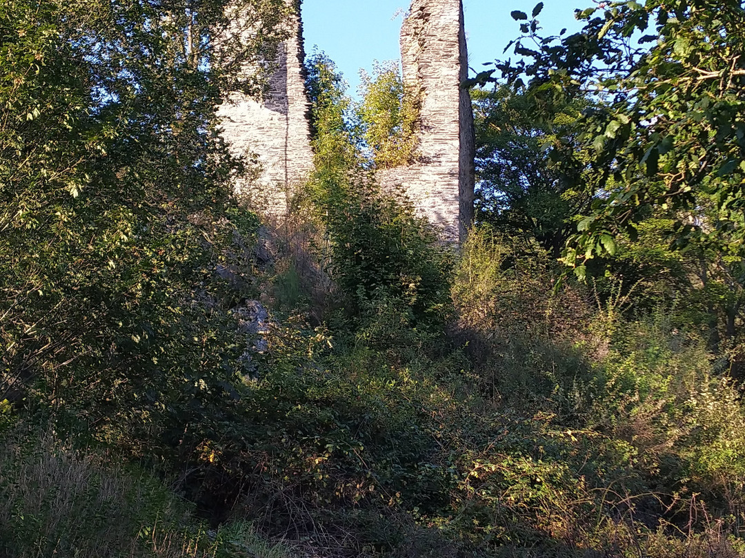 Haller Ruine景点图片