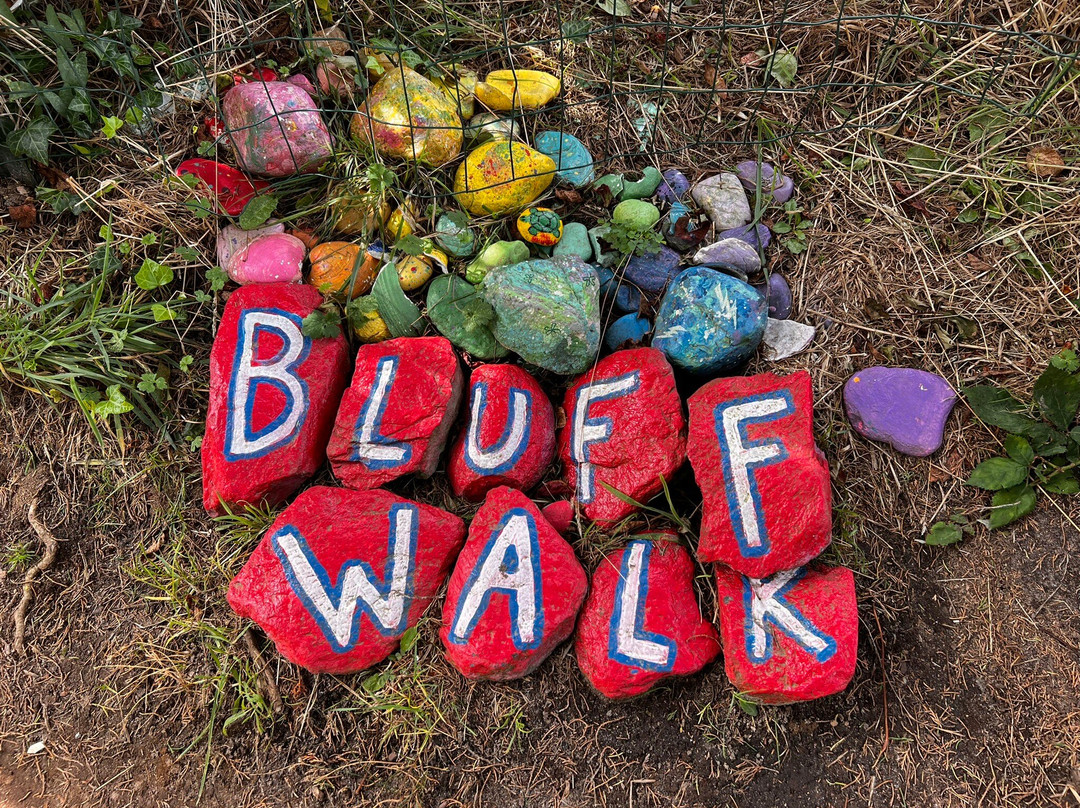 Sconset Bluff Walk景点图片